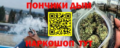 гидропоника Будённовск