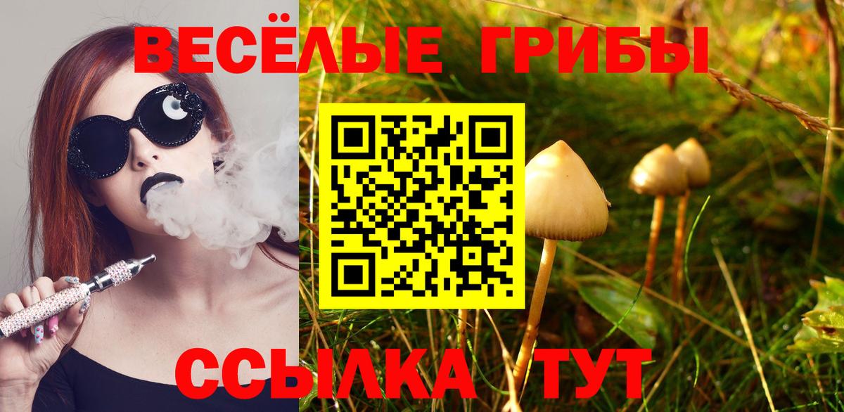 Галлюциногенные грибы Magic Shrooms  Вход с VPN  Алапаевск 