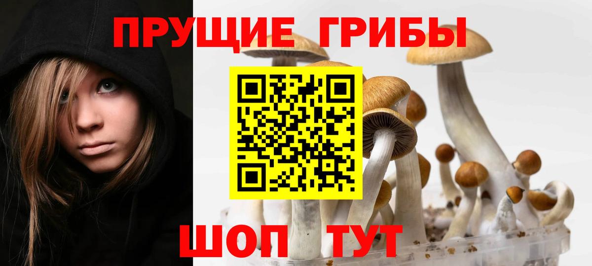 Галлюциногенные грибы Psilocybe Алапаевск
